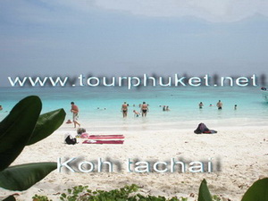  Ҫ еҪ ࡨҪ Ѻ  ͷ TourPhuket.Net
Ѻҹ                          tourphuket.net ŧСȿ ŧСȿ ŧС Сȿ ŧɳҿ ŧɳҿ ŧɳ ɳҿ ͺ ͺ ͹Ź  Թ͹Ź ҹ͹Ź Դҹ¢ͧ͹Ź Ѥÿ ҹ͹Ź