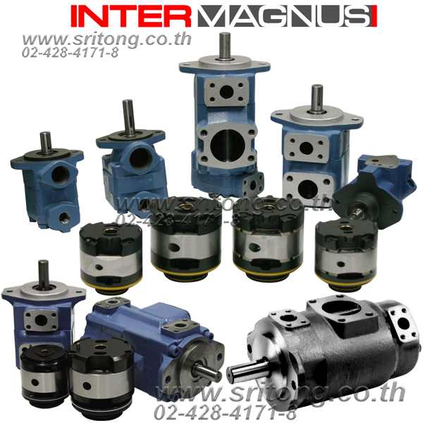 㺾Ѵδԡ Hydraulic Vane Pump  Intermagnus ᷹ Vickers δԤ Ԥ ԡ