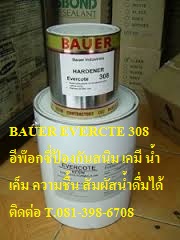 Bauer Evercote 308  վ͡ǹѹҾ